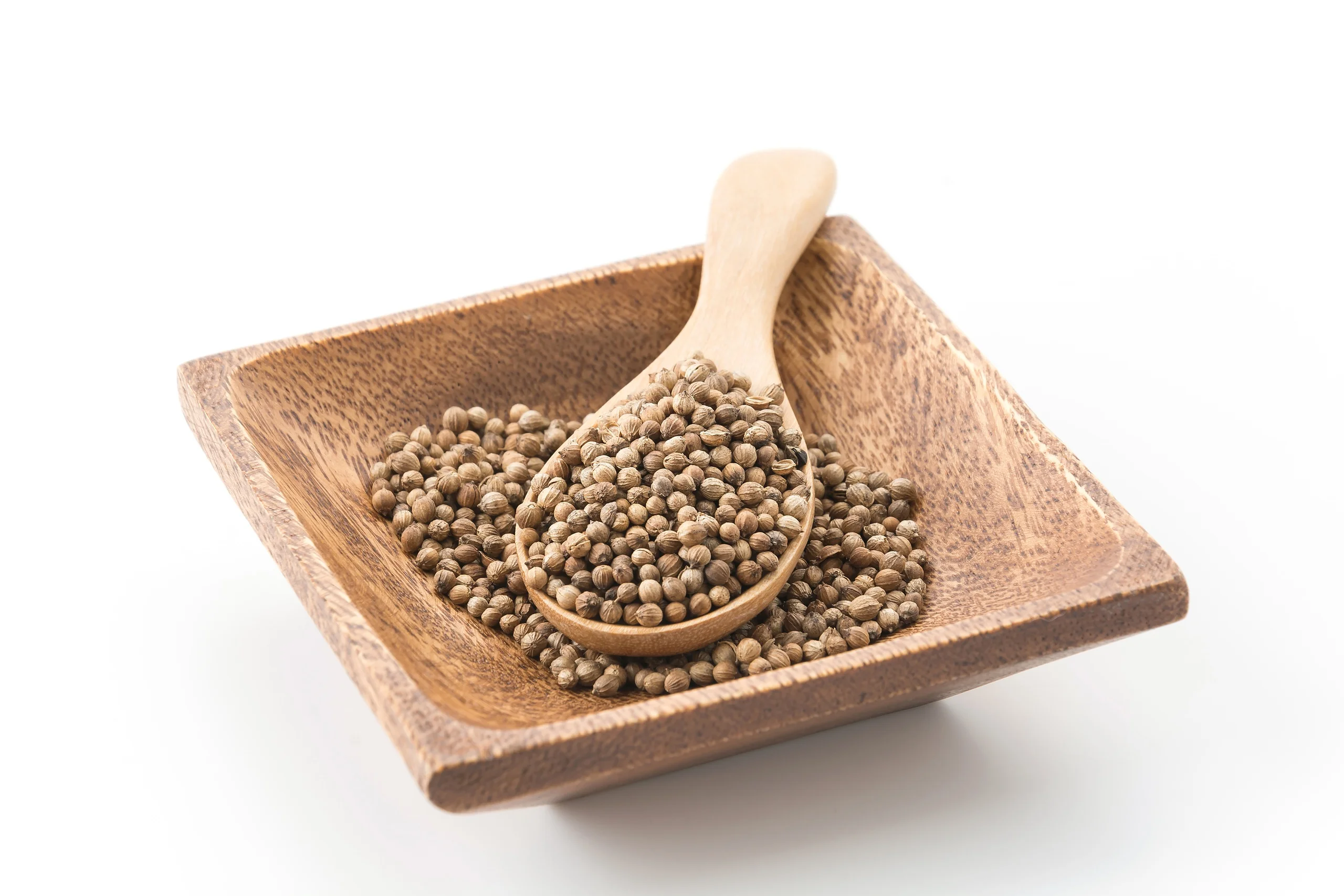 Dried sabut dhaniya seeds in a rustic bowl on a wooden table