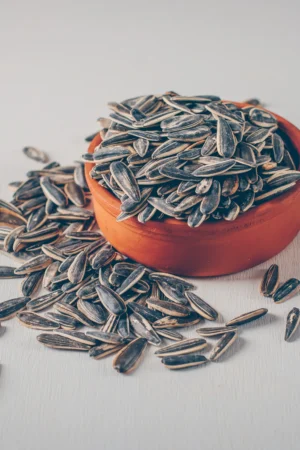Roasted sunflower seeds in a ceramic bowl, sprinkled with whole seeds