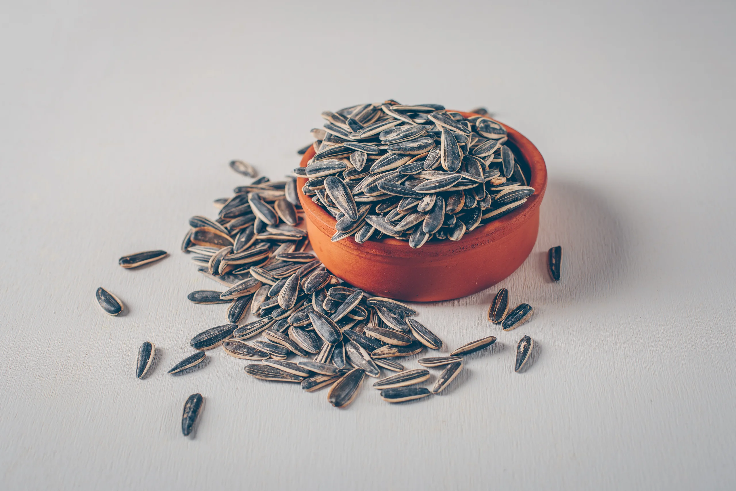 Sunflower Seeds
